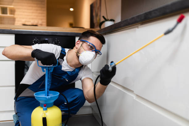 Best Commercial Pest Control Services  in Northville, NY