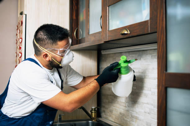 Best Local Pest Control Services  in Northville, NY